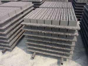 Pailéad Snáithín Ard